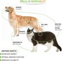 restorapet-1-pack-dog-cat-unflavored-liq-6.jpg