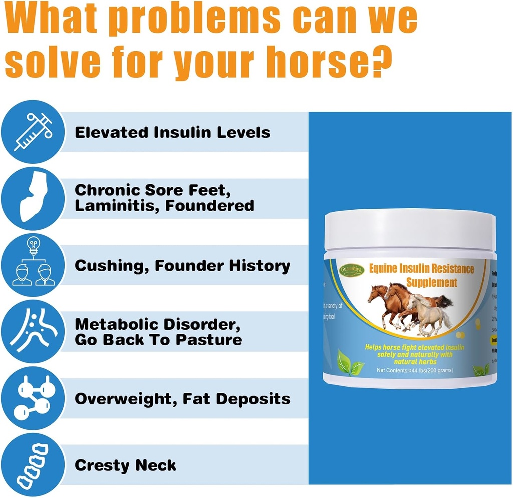 insulin-resistance-supplement-for-horses-2.jpg