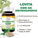lovita-ksm-66-ashwagandha-highly-concent-3.jpg