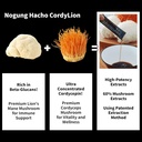 nogung-dongchunghacho-cordlion---cordyce-2.jpg