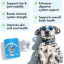 legitpet-dog-vitamins---30-multivitamins-2.jpg
