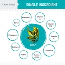 kelp-supplement-for-dogs---16-oz-of-kelp-2.jpg