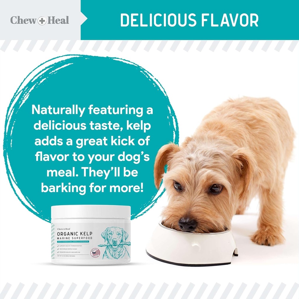 kelp-supplement-for-dogs---16-oz-of-kelp-5.jpg