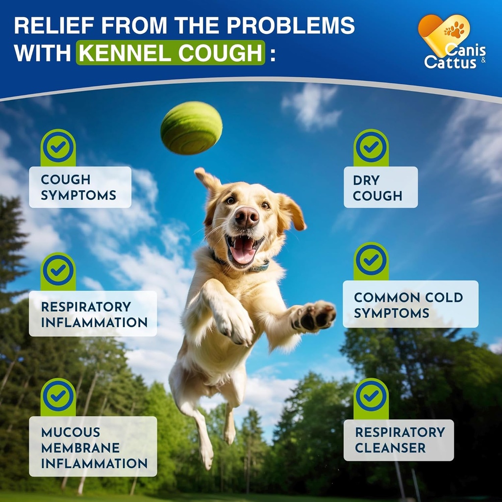 kennel-cough-treatment-for-dogs-cats-hel-2.jpg