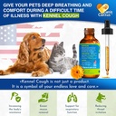 kennel-cough-treatment-for-dogs-cats-hel-5.jpg
