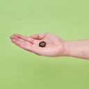 wedderspoon-manuka-honey-immunity-lozeng-4.jpg