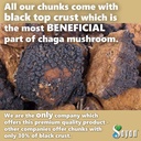 sayan-siberian-pure-raw-chaga-mushroom-c-3.jpg