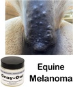 lifespan-gray-out-equine-care-bundle-her-2.jpg
