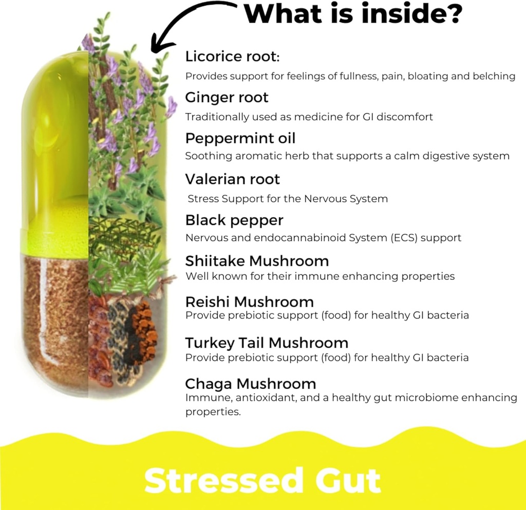 r3set-stressed-gut-prebiotic-daily-suppl-4.jpg