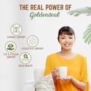 go-nutra-goldenseal-root-extract-pure-go-4.jpg