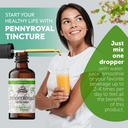 pennyroyal-tincture-organic-pennyroyal-e-4.jpg