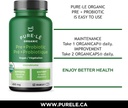 usda-organic-prebiotic-probiotic-60-orga-5.jpg