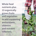 garden-of-life-multivitamin-for-men-mult-4.jpg
