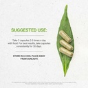 secrets-of-the-tribe-cardamom-usda-organ-3.jpg