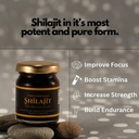 shilajit-pure-himalayan-organic-shilajit-3.jpg