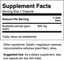 swanson-double-strength-boswellia-herbal-2.jpg