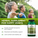 swanson-double-strength-boswellia-herbal-3.jpg