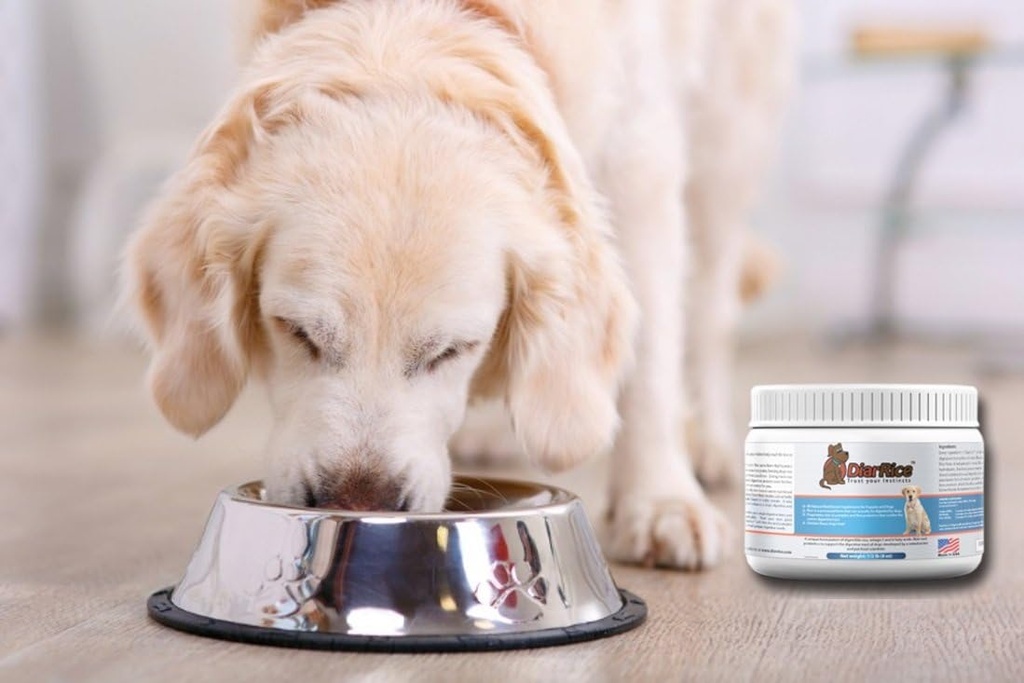 probiotic-for-dog-diarrhea-anti-diarrhea-5.jpg