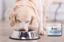 probiotic-for-dog-diarrhea-anti-diarrhea-5.jpg