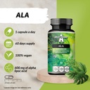 apollos-hegemony-ala-alpha-lipoic-acid-6-3.jpg