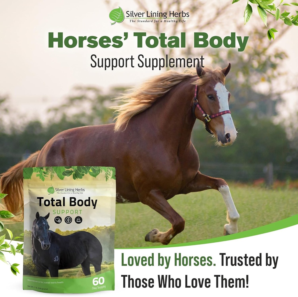 silver-lining-herbs-total-body-horse-sup-6.jpg