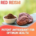 xprs-nutra-fungi-fusion-organic-mushroom-5.jpg