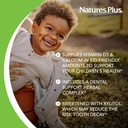 naturesplus-animal-parade-tooth-fairy-ch-4.jpg