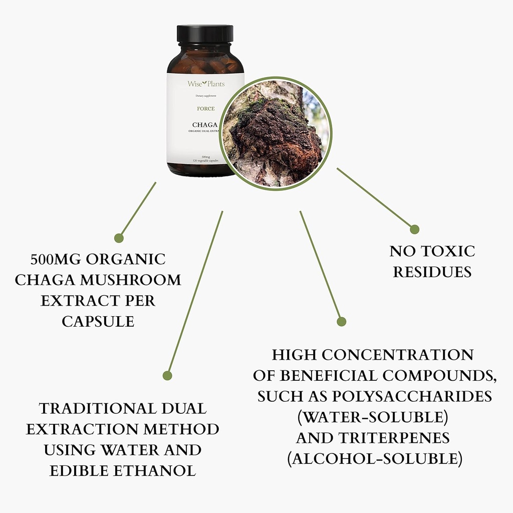chaga-mushroom-supplement-dual-extract-p-4.jpg