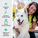 healthy-bite-probiotic-for-dogs---dog-pr-4.jpg