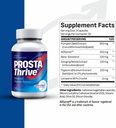 experience-restful-nights-boosted-energy-2.jpg