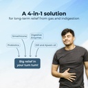 q-gazz-helps-in-gas-bloating-and-indiges-2.jpg