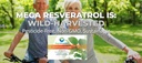 mega-resveratrol-nicotinamide-riboside-n-5.jpg