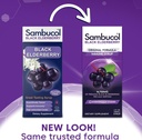 sambucol-black-elderberry-syrup---sambuc-2.jpg