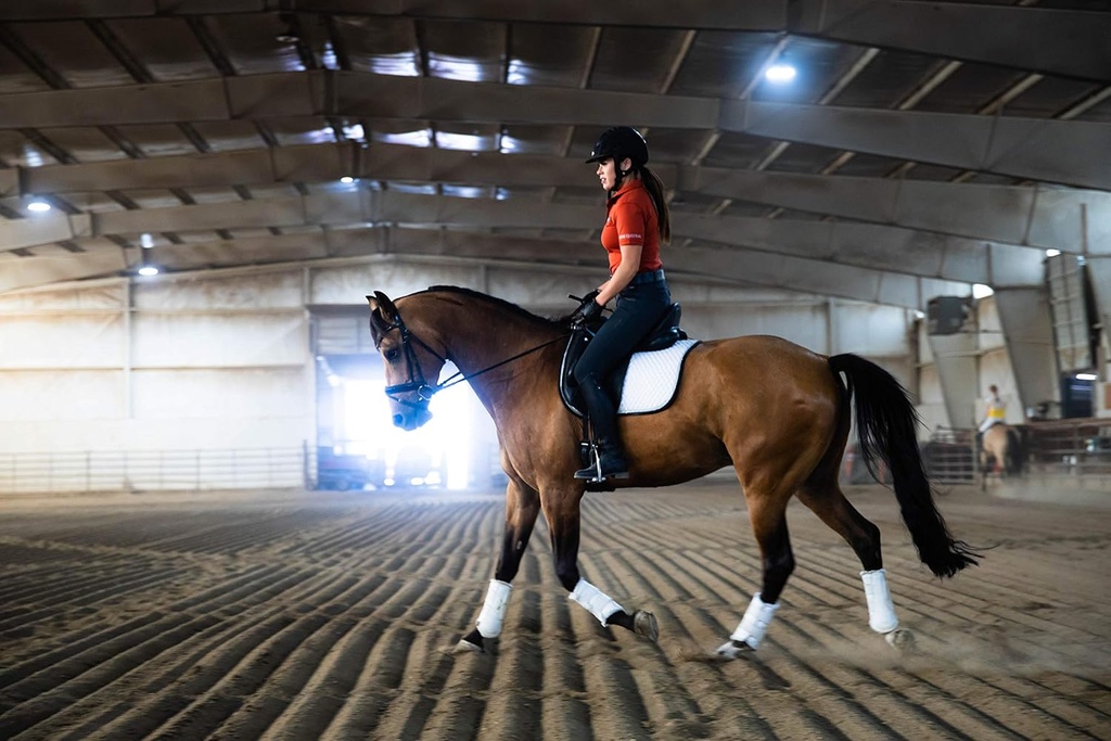 gastric-support-supplement-for-horses-re-6.jpg