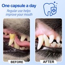 oral-probiotic-for-dogs-advanced-dental--4.jpg