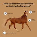 formula-707-daily-essentials-equine-supp-3.jpg