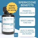 new-world-health-brands-pure-spermidine--2.jpg