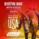 rj-matthews-biotin-800-pellets-6-lb-4.jpg