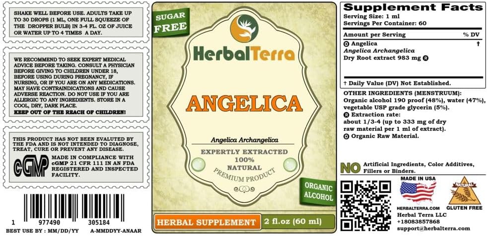 chinese-angelica-angelica-archangelica-t-2.jpg