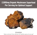 om-mushroom-superfood-chaga-organic-mush-6.jpg