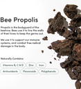 beekeepers-naturals-nasal-spray-for-adul-6.jpg