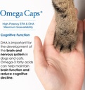pet-health-solutions-es-liquid-for-dogs--6.jpg