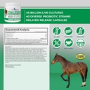 vital-planet---flora-horse-probiotic-hig-2.jpg