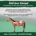 vital-planet---flora-horse-probiotic-hig-4.jpg