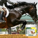 horse-non-sweating-treatment-promoting-h-3.jpg