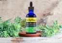 dr-rydlands-herbal-supplement-created-by-3.jpg