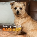 in-clover-dog-skin-and-coat-supplement-b-6.jpg