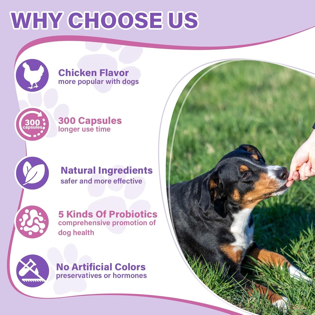 probiotics-for-dogs-dog-probiotic-chews--5.jpg