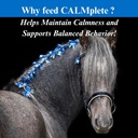su-per-calmplete-calming-horse-supplemen-4.jpg