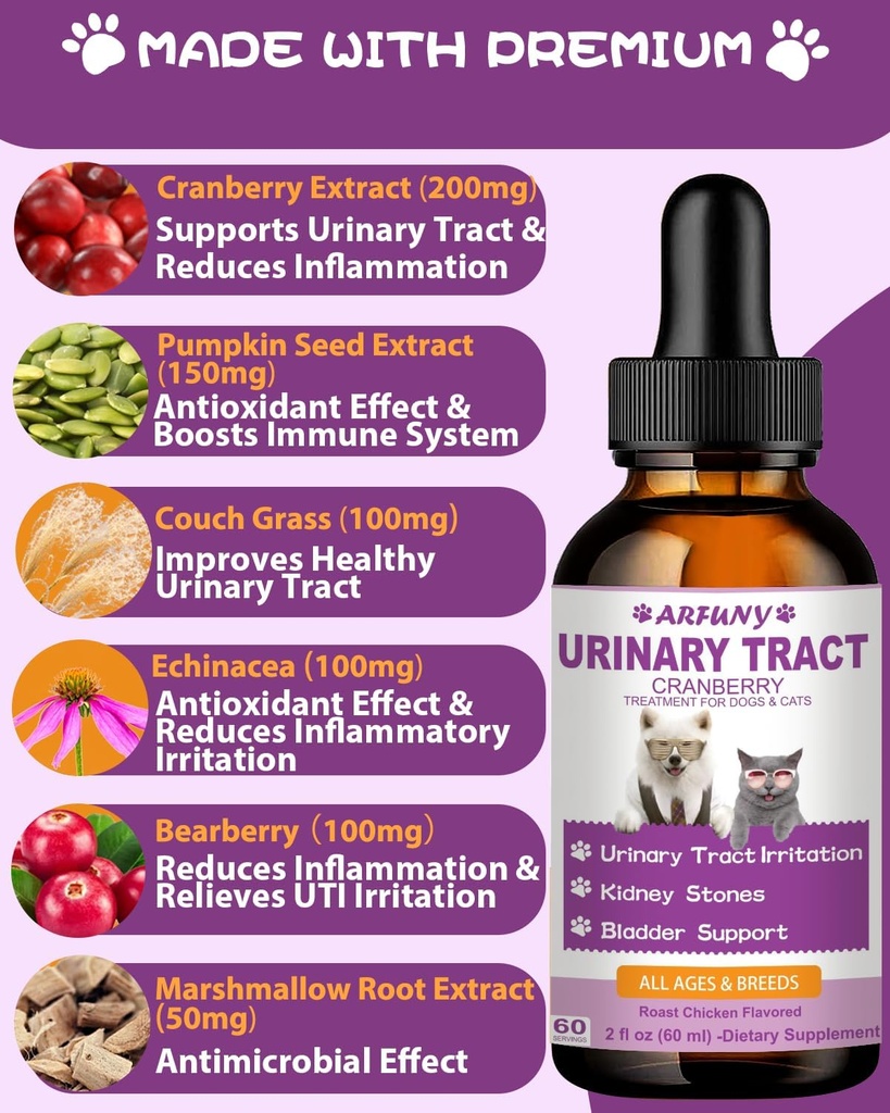 cat-dog-urinary-tract-infection-treatmen-4.jpg